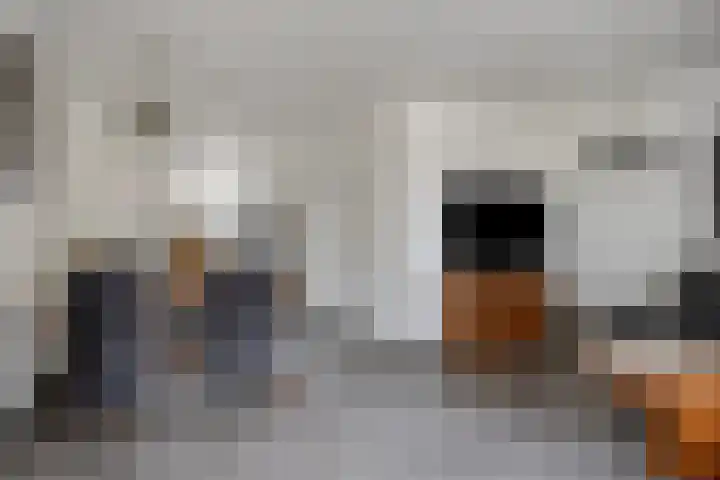 Verdistraat 360 Oss thumbnail 5