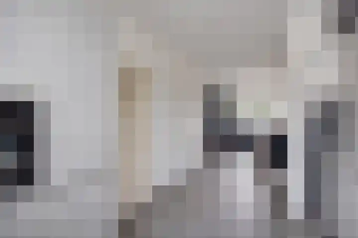 Verdistraat 360 Oss thumbnail 6