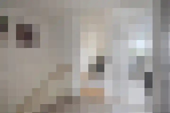 Verdistraat 360 Oss thumbnail 8
