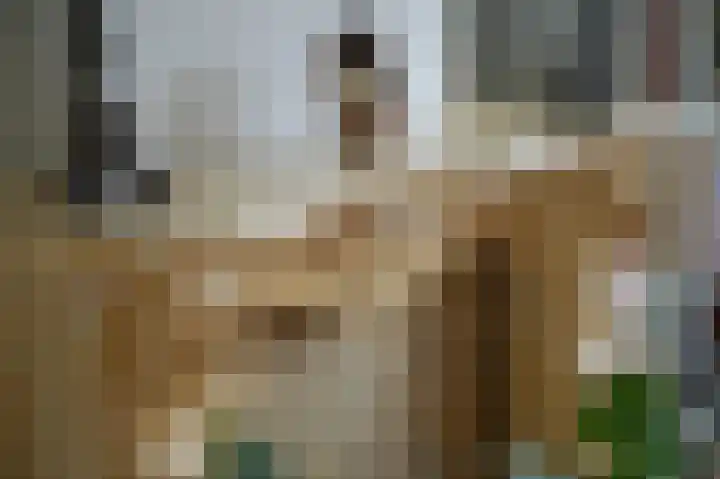 Verdistraat 41 's-Hertogenbosch thumbnail 10