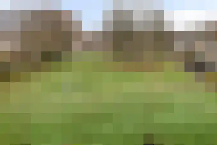 Verdistraat 44 Hengelo thumbnail 21