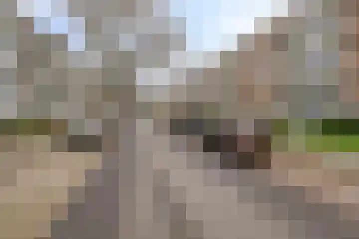 Verdistraat 44 Hengelo thumbnail 4