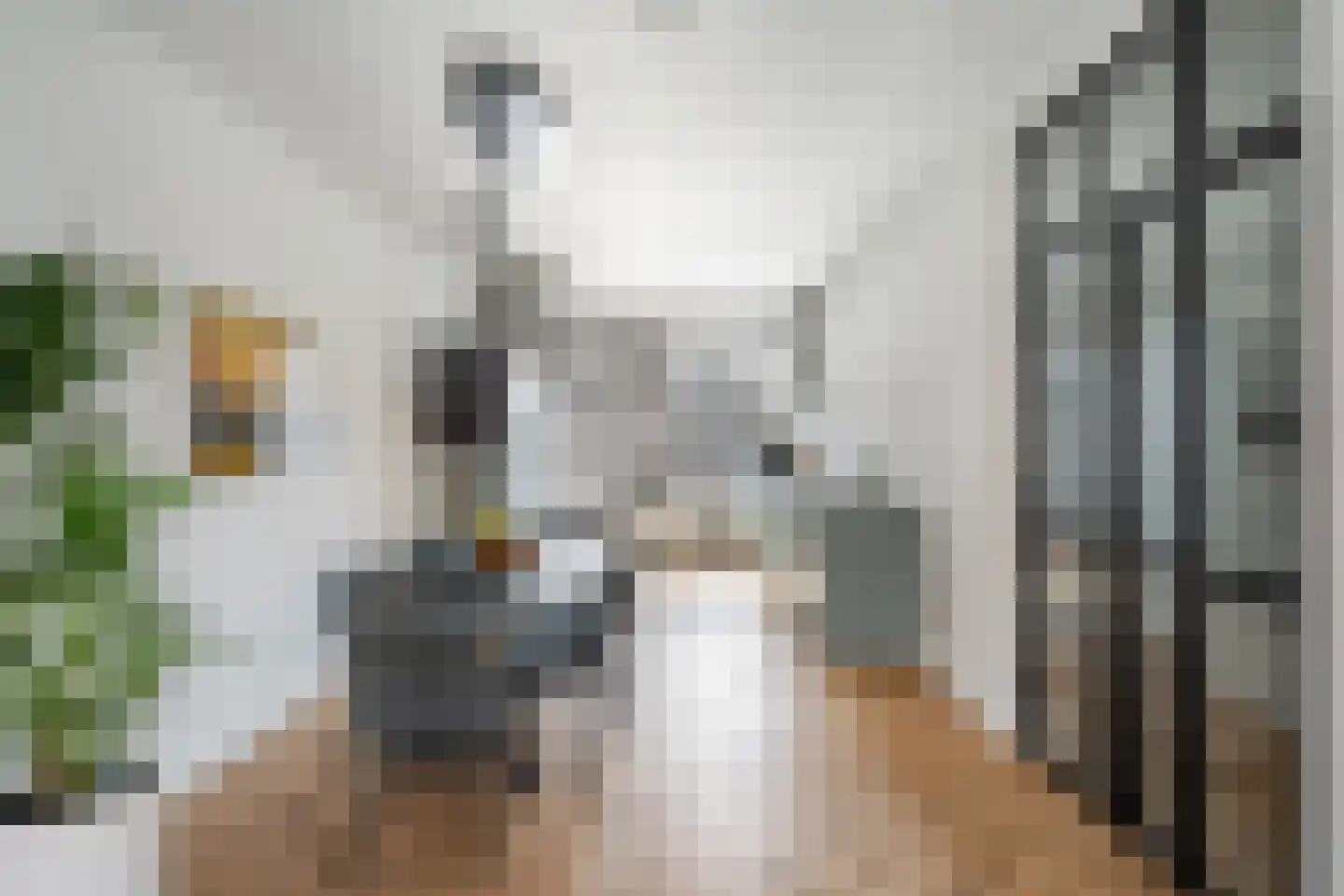 Verdistraat 46 Den Haag thumbnail 4