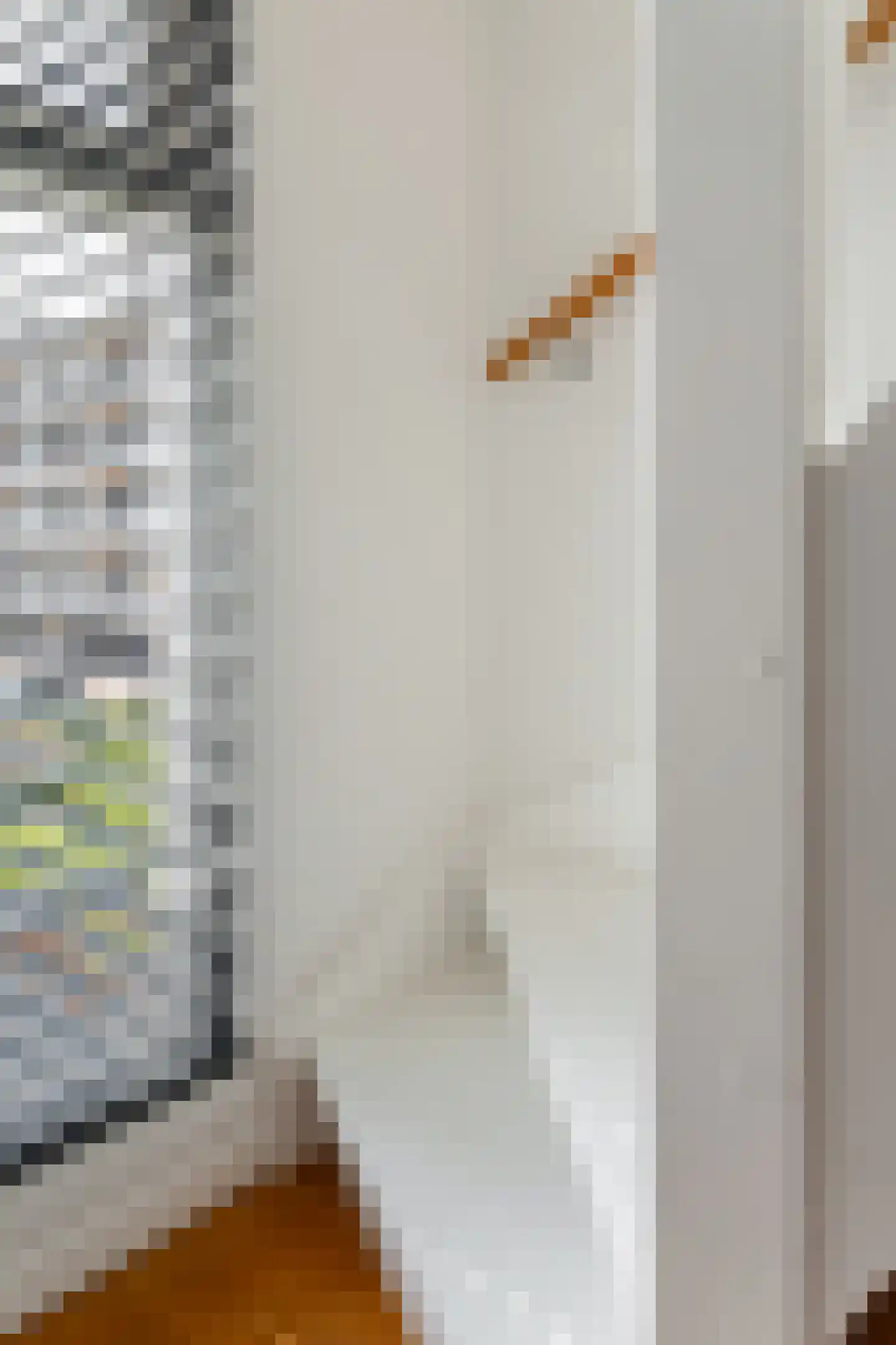 Verdistraat 46 Den Haag thumbnail 53