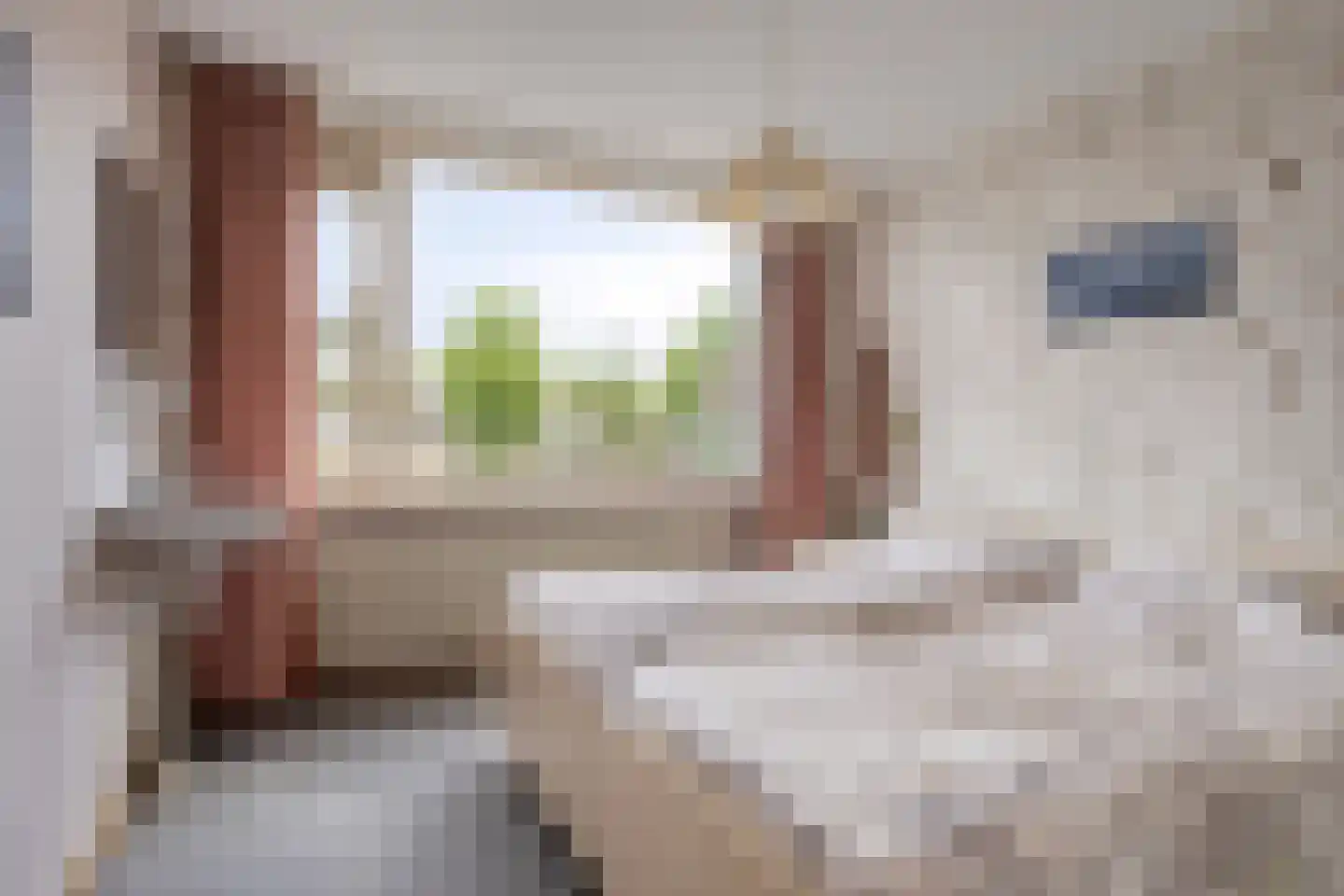 Verdistraat 49 Bunschoten-Spakenburg thumbnail 16