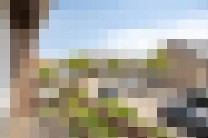 Verdistraat 5 Bergen op Zoom thumbnail 16
