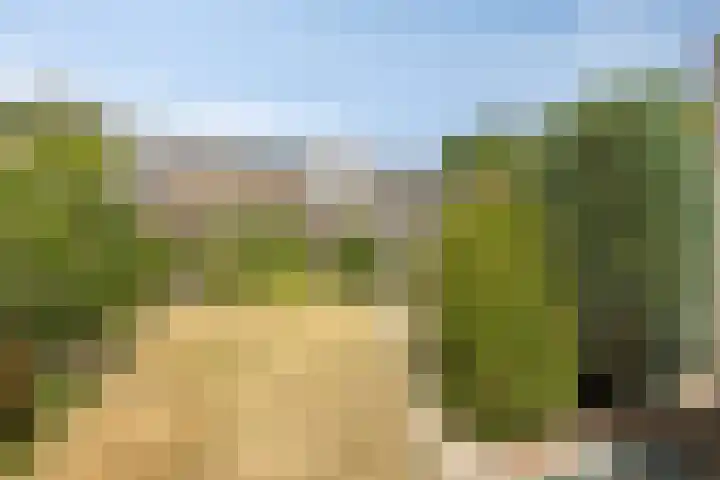 Verdistraat 5 Bergen op Zoom thumbnail 26