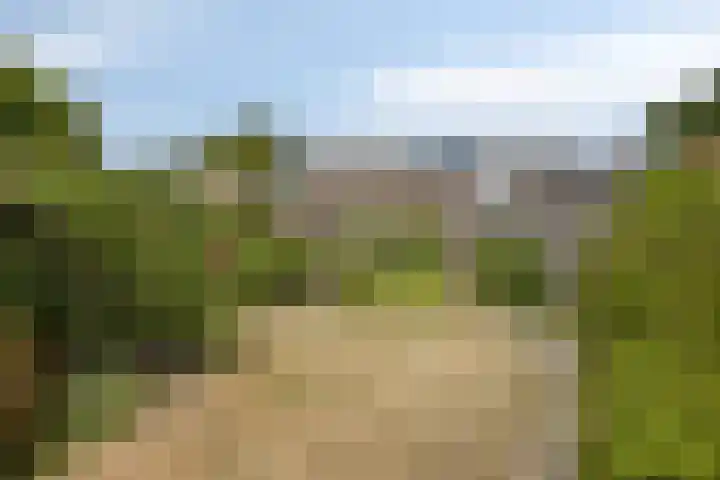 Verdistraat 5 Bergen op Zoom thumbnail 27