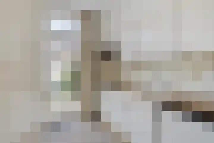 Verdistraat 5 Bergen op Zoom thumbnail 8