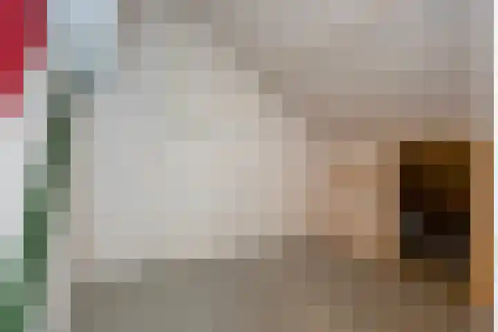 Verdistraat 5 Waalwijk thumbnail 19