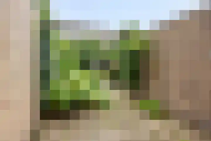 Verdistraat 5 Waalwijk thumbnail 20