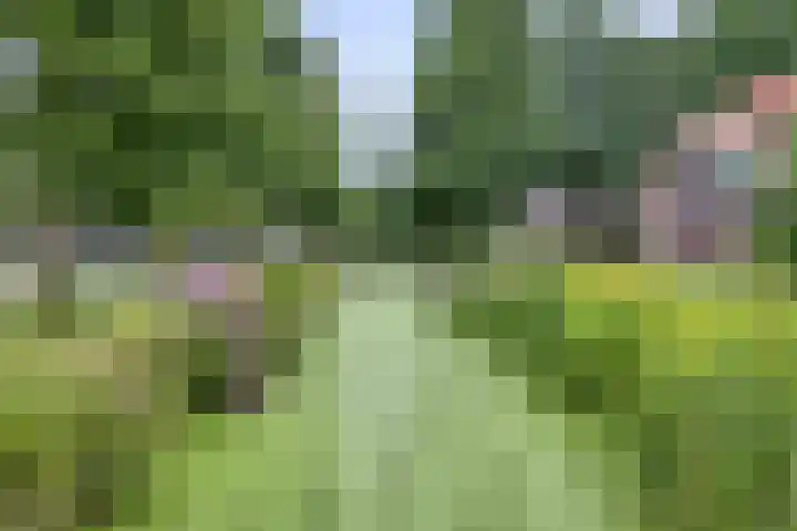 Verdistraat 5 Waalwijk thumbnail 25