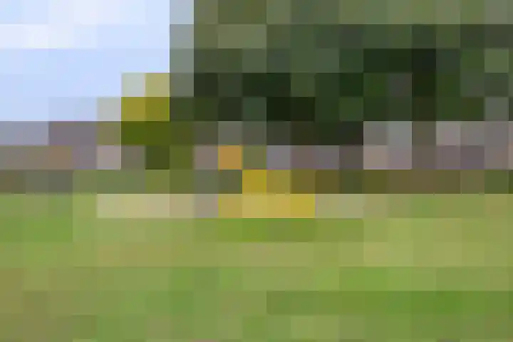 Verdistraat 5 Waalwijk thumbnail 26