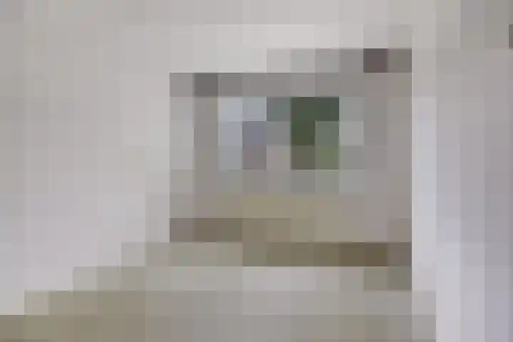 Verdistraat 5 Waalwijk thumbnail 8