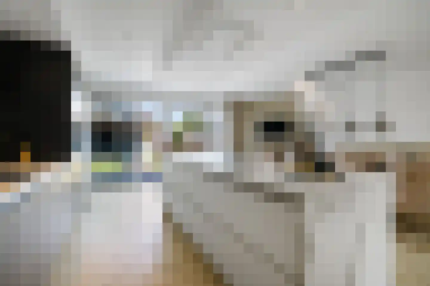 Verdistraat 51 Twello thumbnail 12