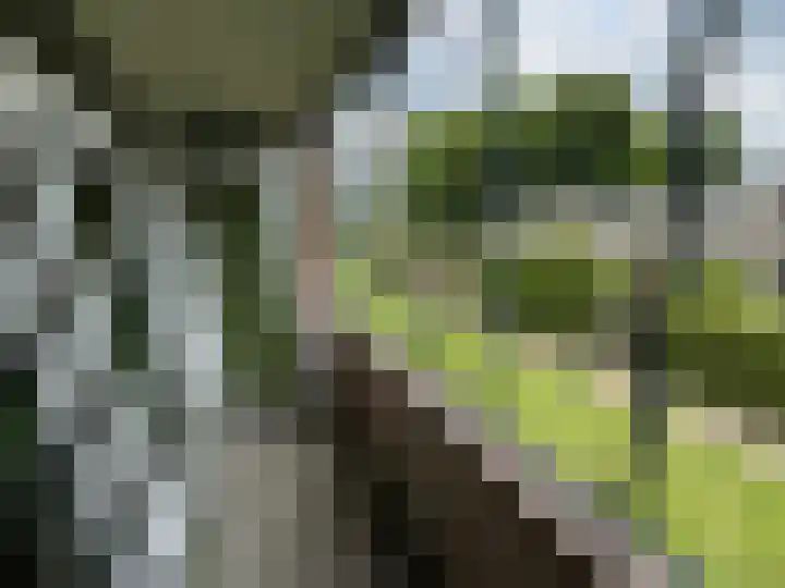 Verdistraat 53 Hengelo thumbnail 6