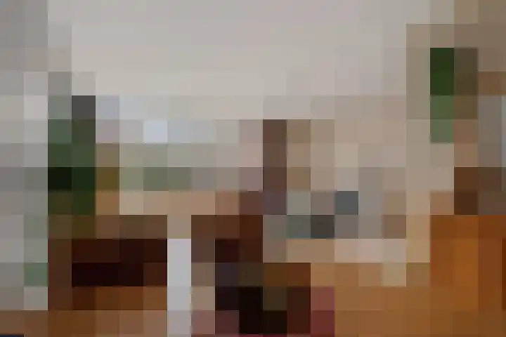 Verdistraat 58 Oss thumbnail 18