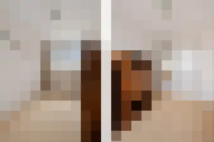 Verdistraat 58 Oss thumbnail 29
