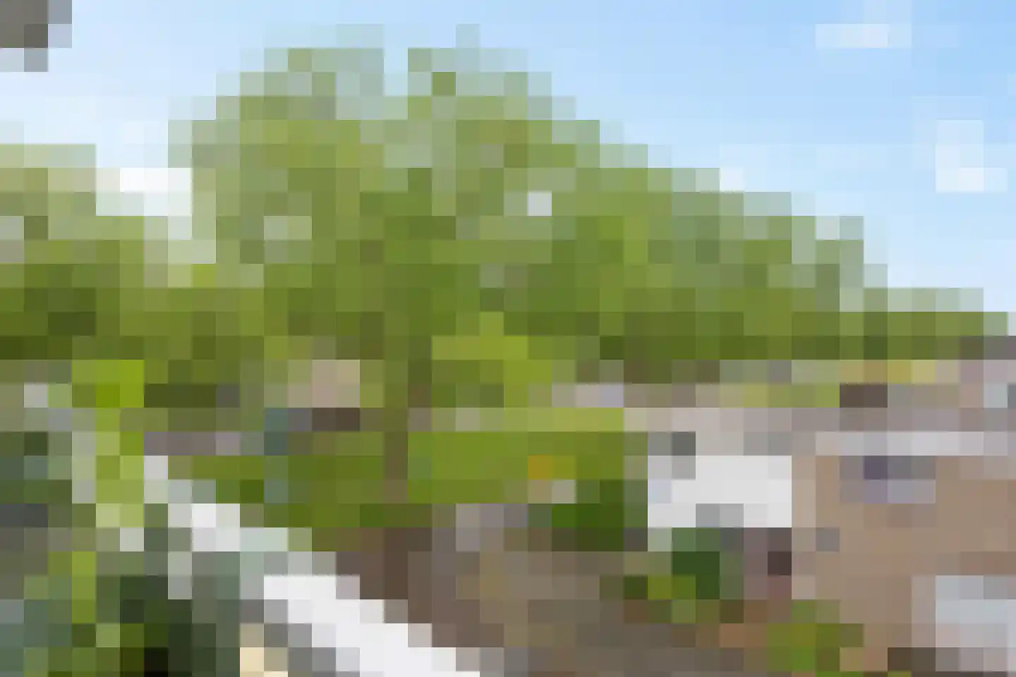 Verdistraat 59 Hengelo thumbnail 25