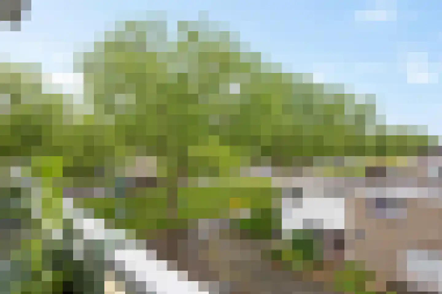 Verdistraat 59 Hengelo thumbnail 25