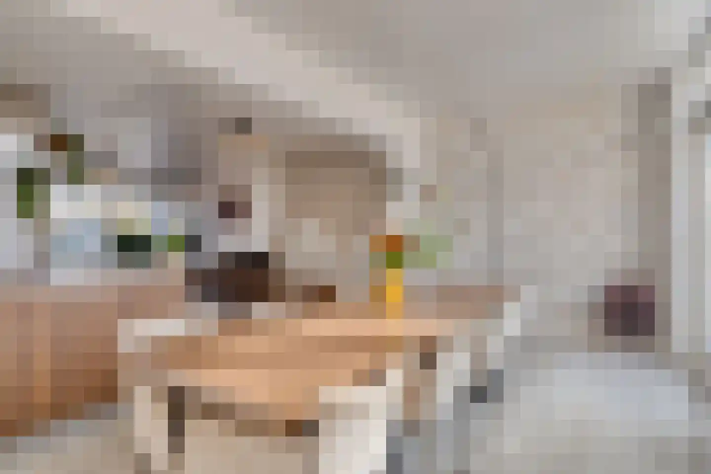 Verdistraat 6 Eijsden thumbnail 11