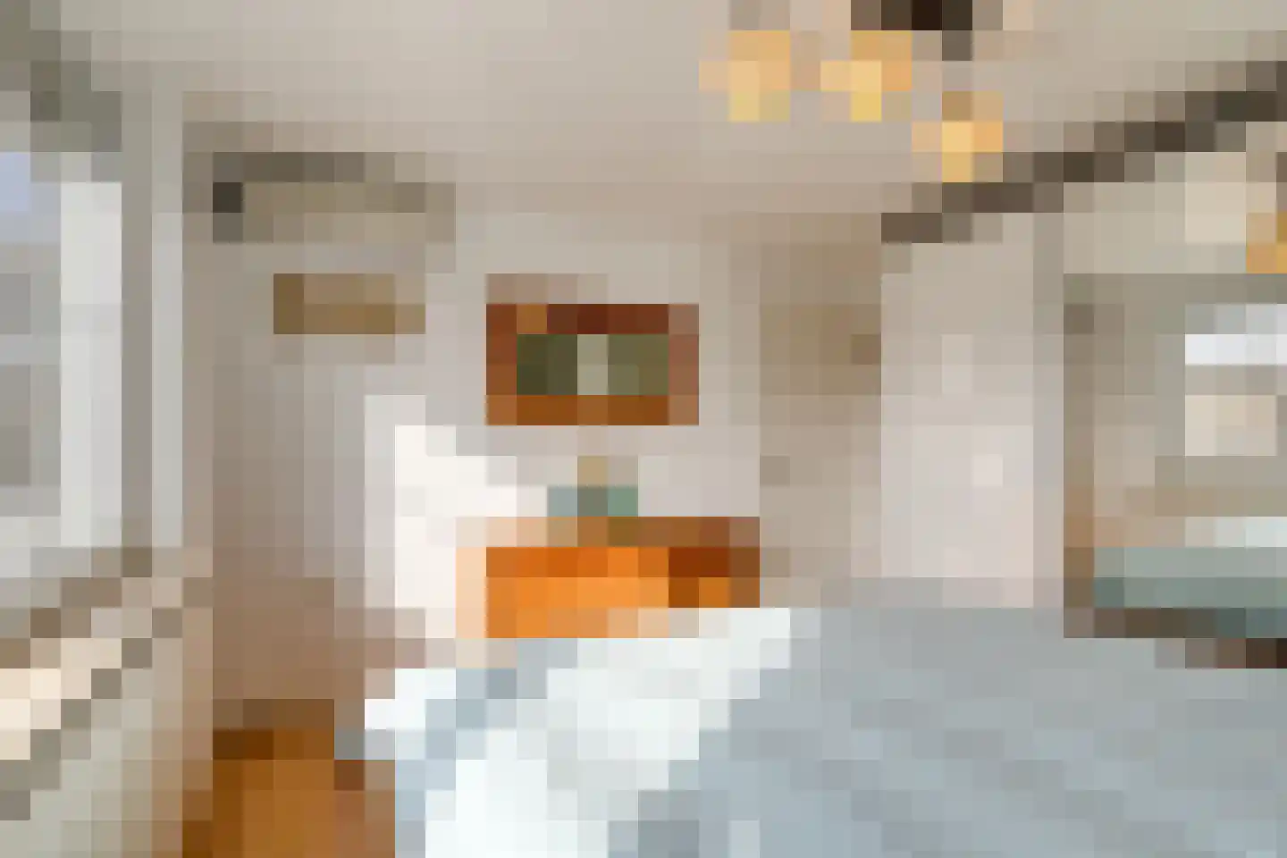 Verdistraat 6 Eijsden thumbnail 22