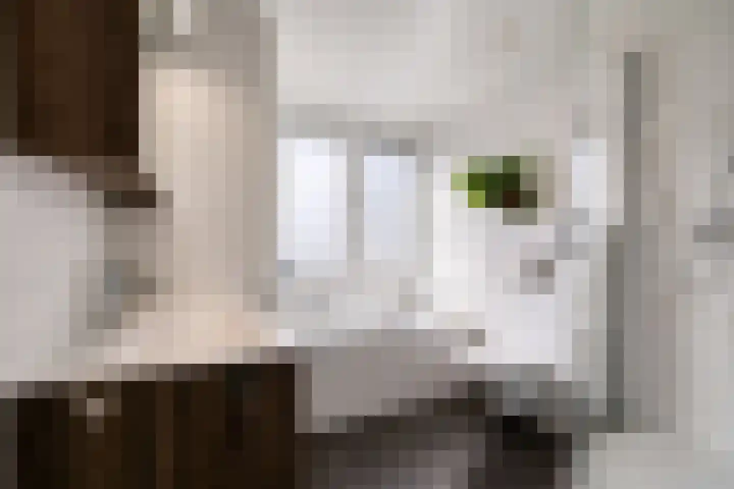 Verdistraat 6 Eijsden thumbnail 23