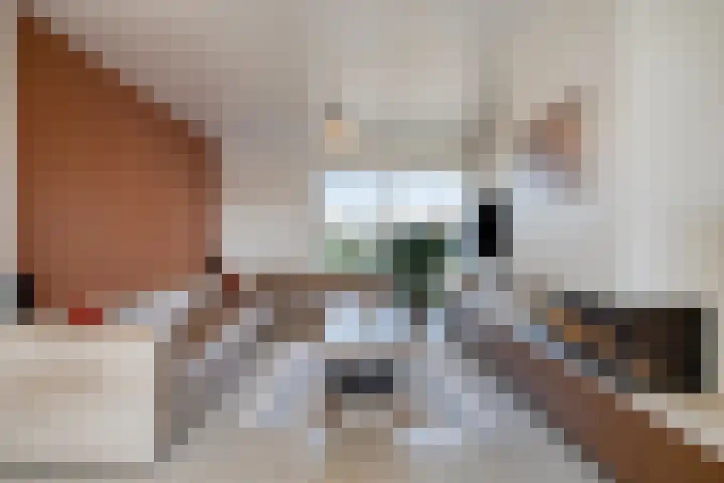 Verdistraat 6 Eijsden thumbnail 8