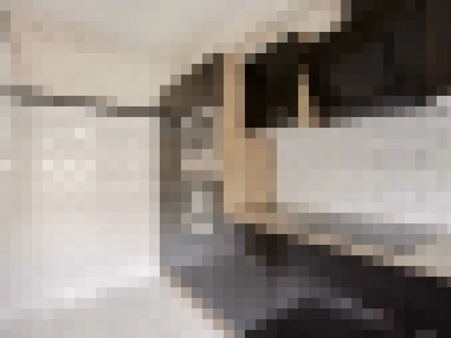 Verdistraat 6 Zutphen thumbnail 10