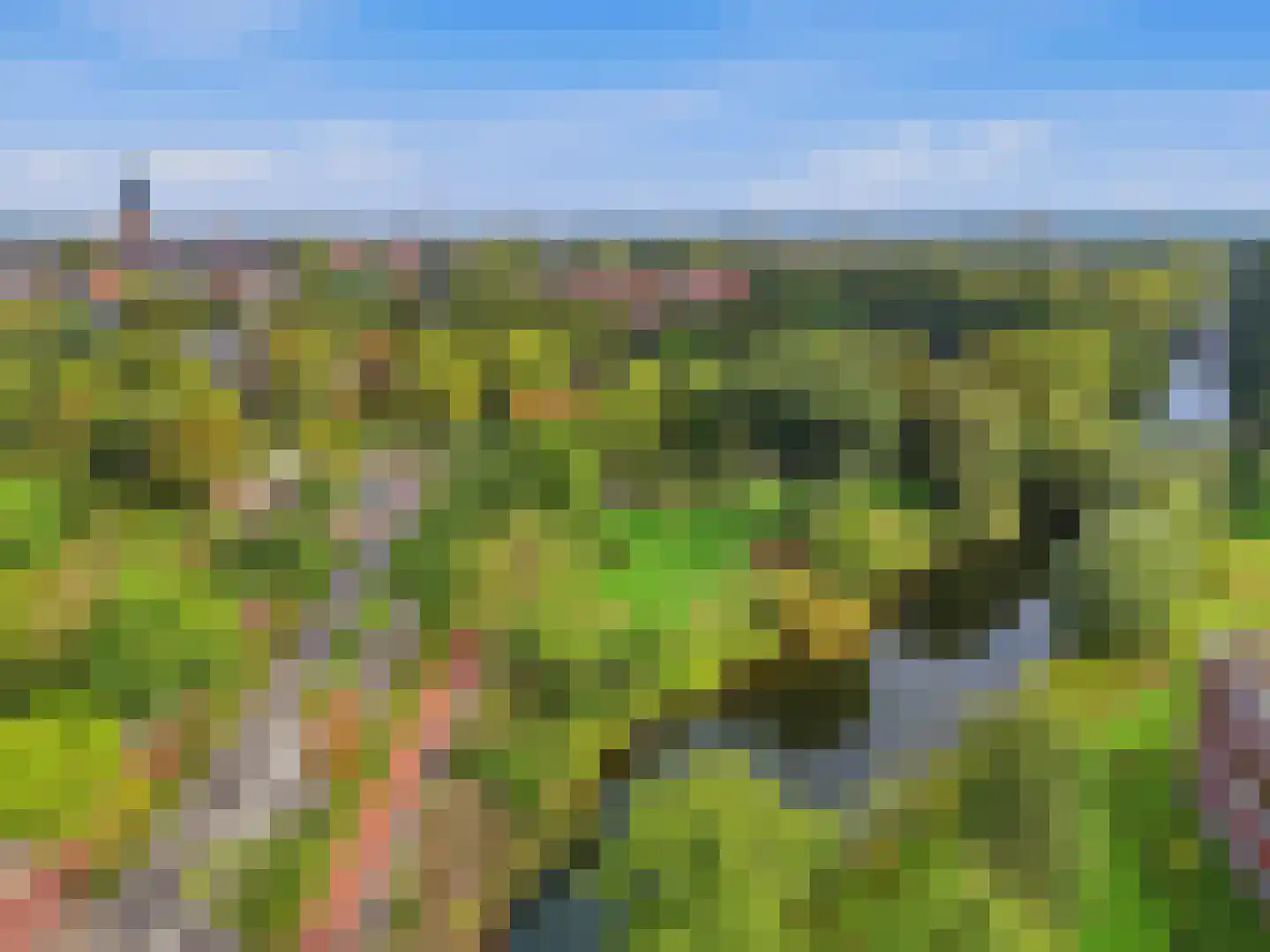 Verdistraat 6 Zutphen thumbnail 31