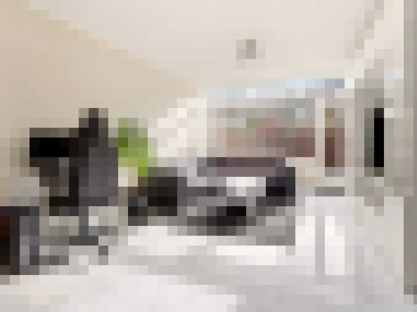 Verdistraat 6 Zutphen thumbnail 5