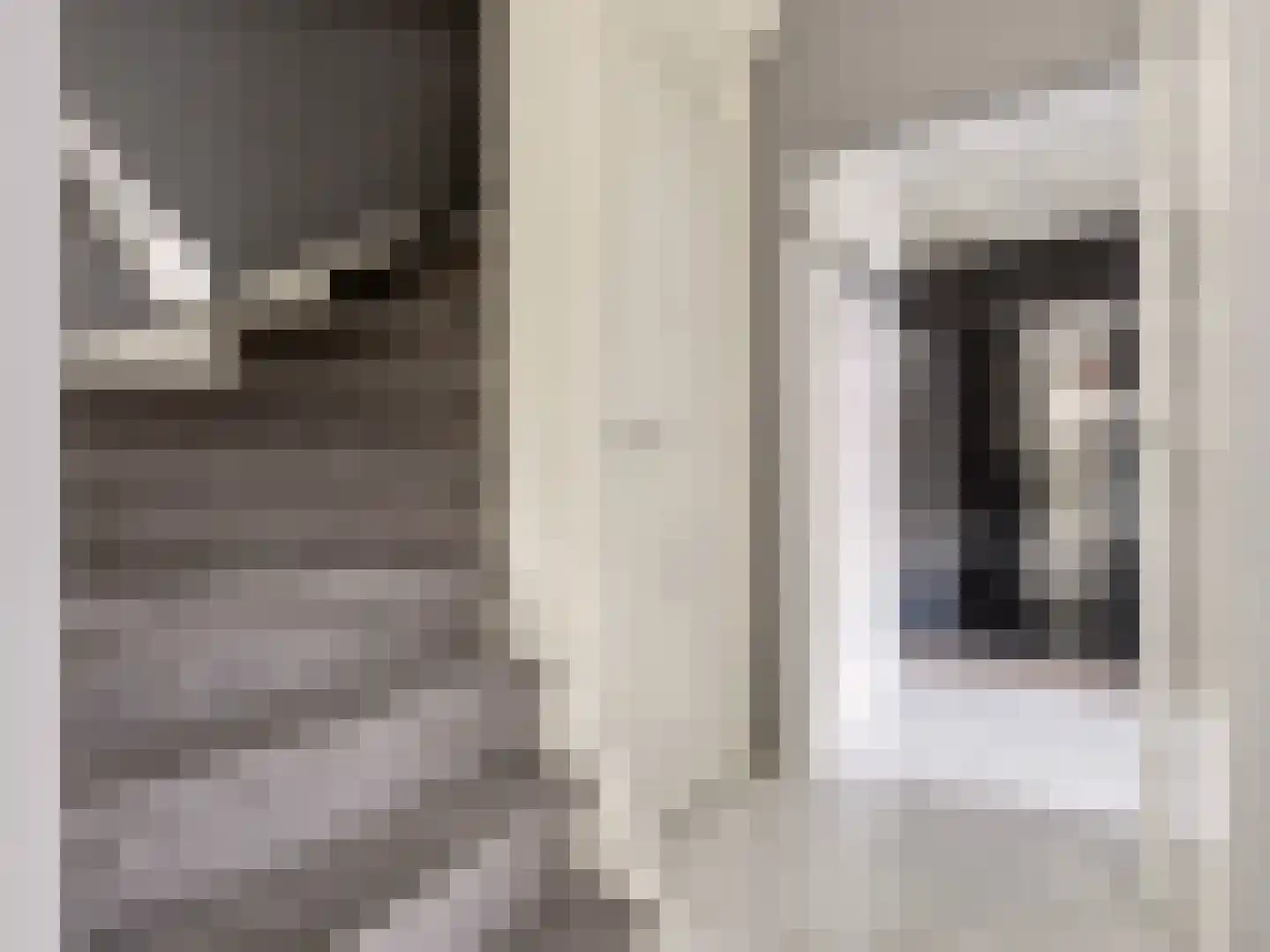 Verdistraat 6 Zutphen thumbnail 8