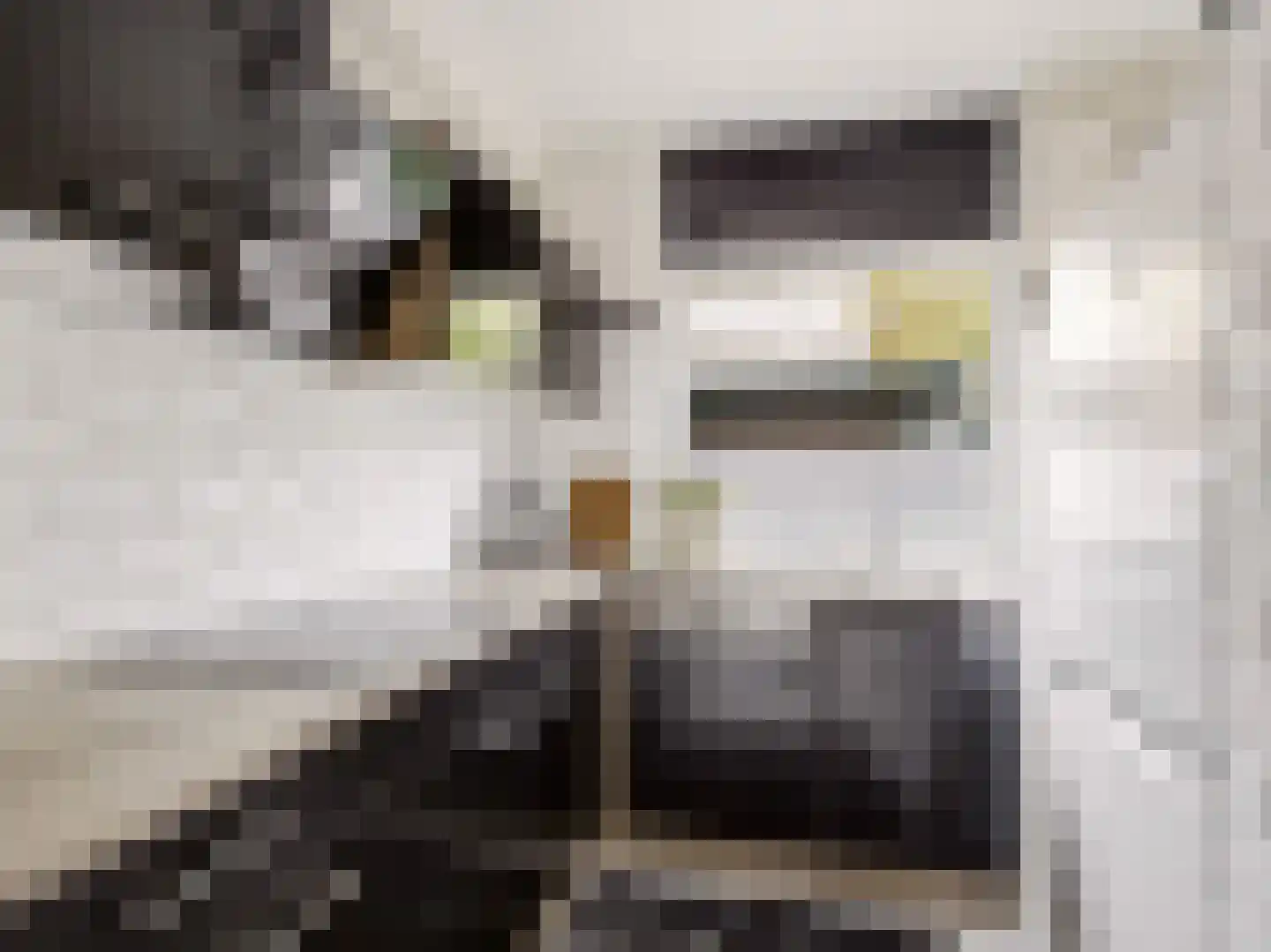 Verdistraat 6 Zutphen thumbnail 9