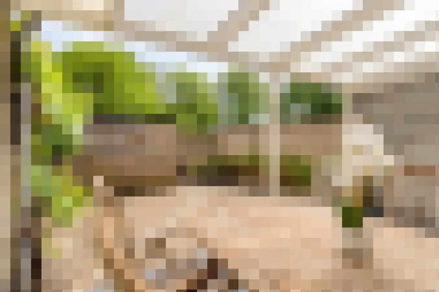 Verdistraat 64 Oss thumbnail 22