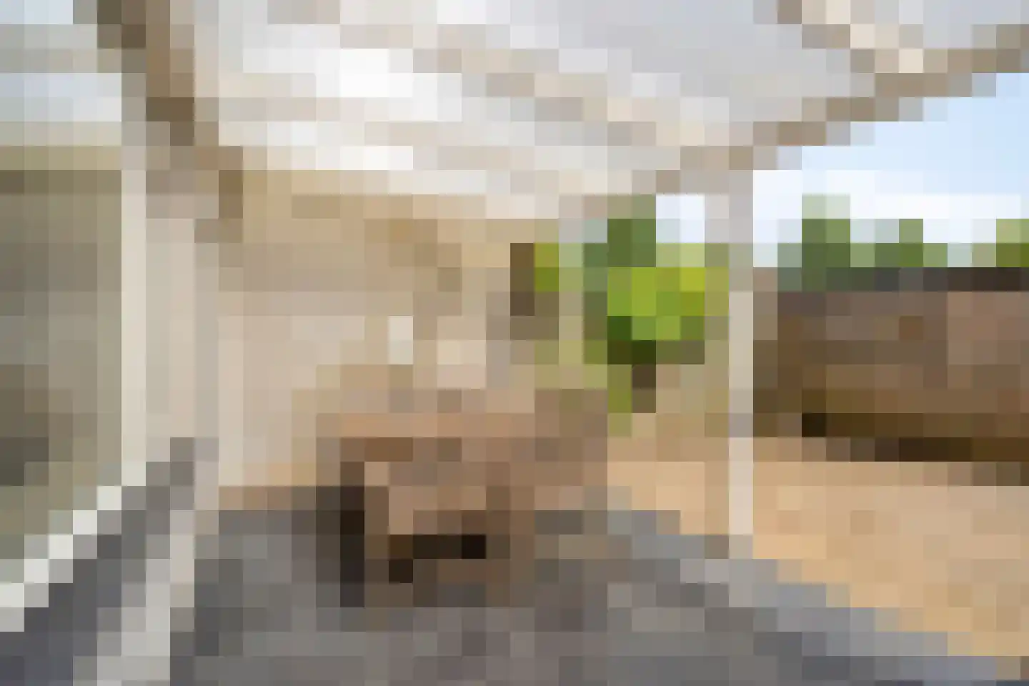 Verdistraat 64 Oss thumbnail 23