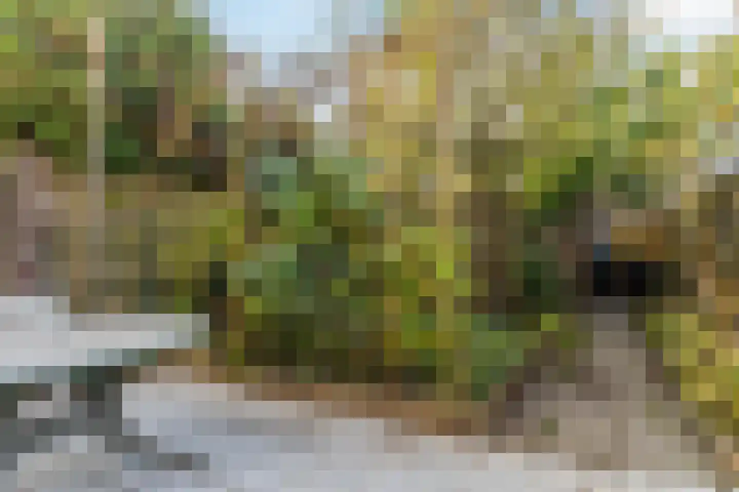 Verdistraat 66 Bunschoten-Spakenburg thumbnail 32