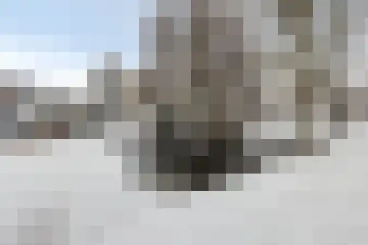 Verdistraat 7 Bunschoten-Spakenburg thumbnail 43