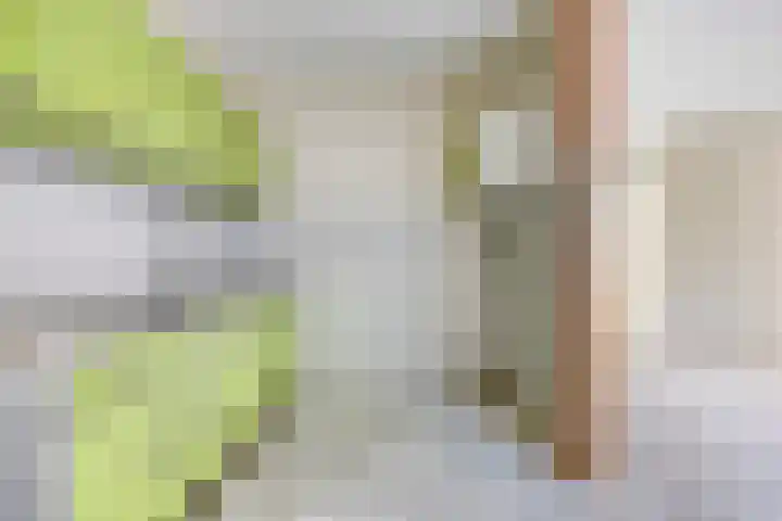 Verdistraat 7 Waalwijk thumbnail 12