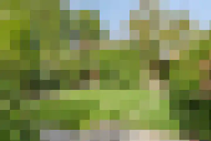 Verdistraat 7 Waalwijk thumbnail 27