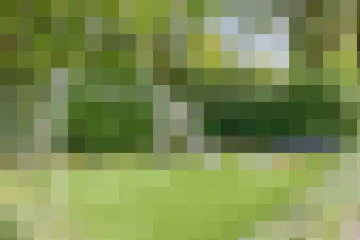 Verdistraat 7 Waalwijk thumbnail 30