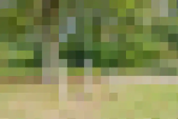 Verdistraat 7 Waalwijk thumbnail 31