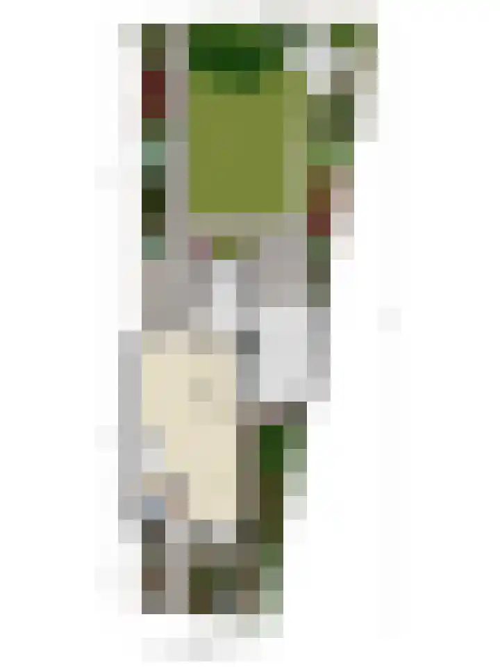 Verdistraat 7 Waalwijk thumbnail 32