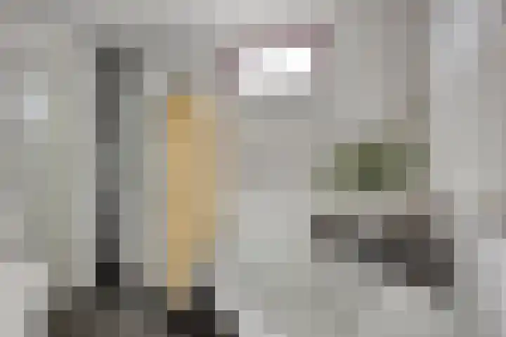 Verdistraat 78 Alkmaar thumbnail 33