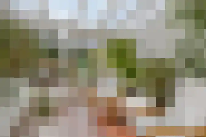 Verdistraat 78 Alkmaar thumbnail 4