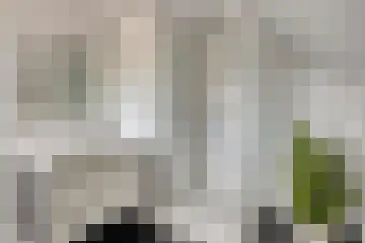 Verdistraat 78 Alkmaar thumbnail 44