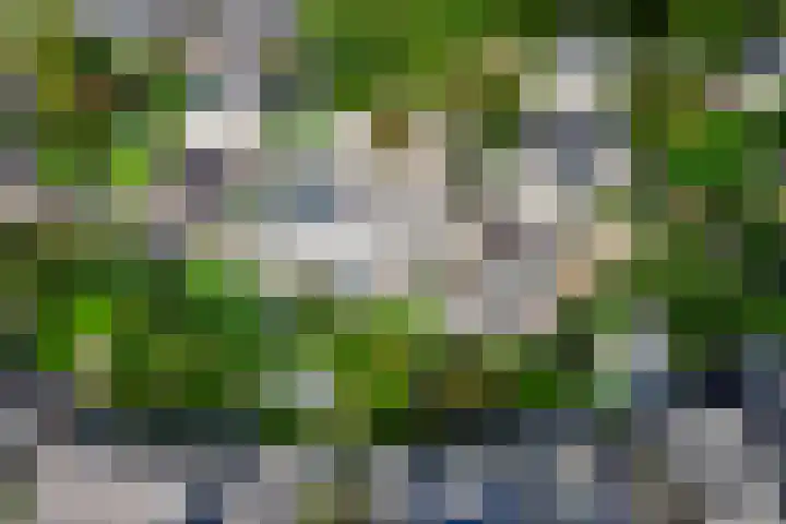 Verdistraat 78 Alkmaar thumbnail 6