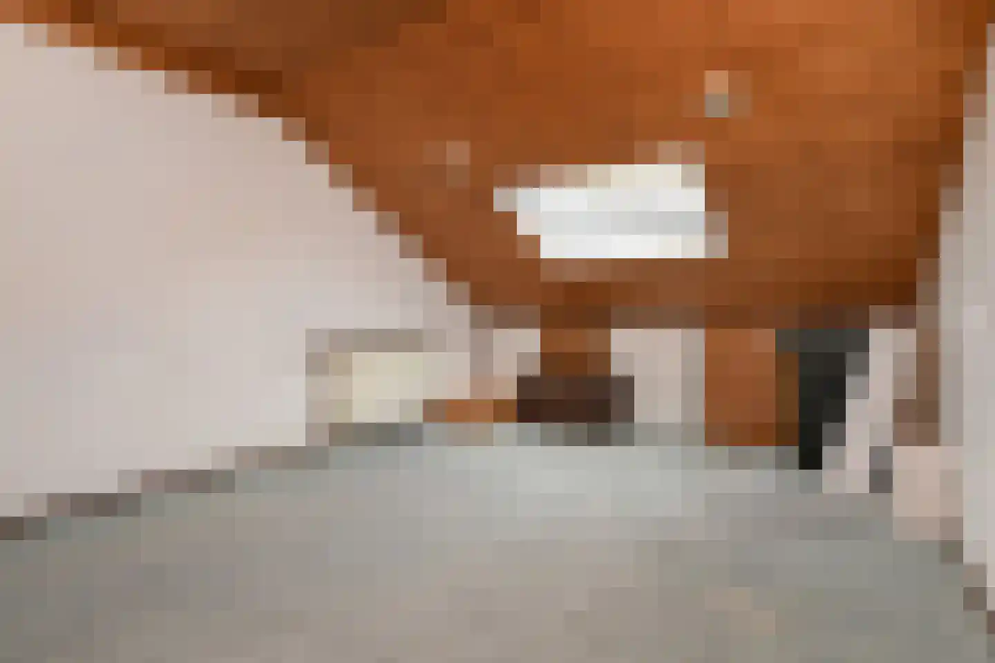 Verdistraat 79 Den Haag thumbnail 36