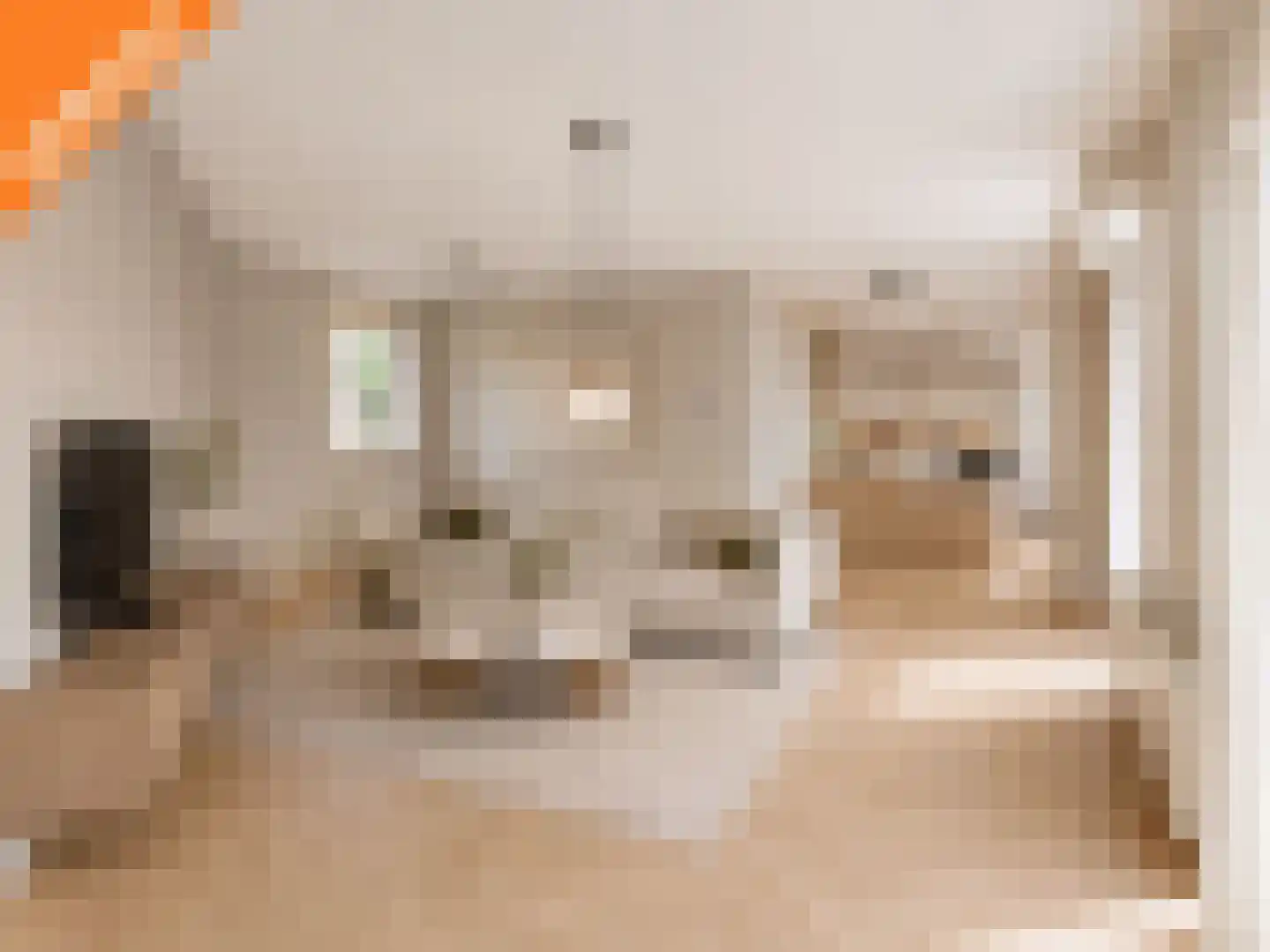 Verdistraat 9 Capelle aan den IJssel thumbnail 9