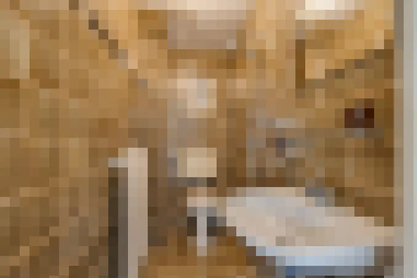 Verdistraat 9 Lichtenvoorde thumbnail 43