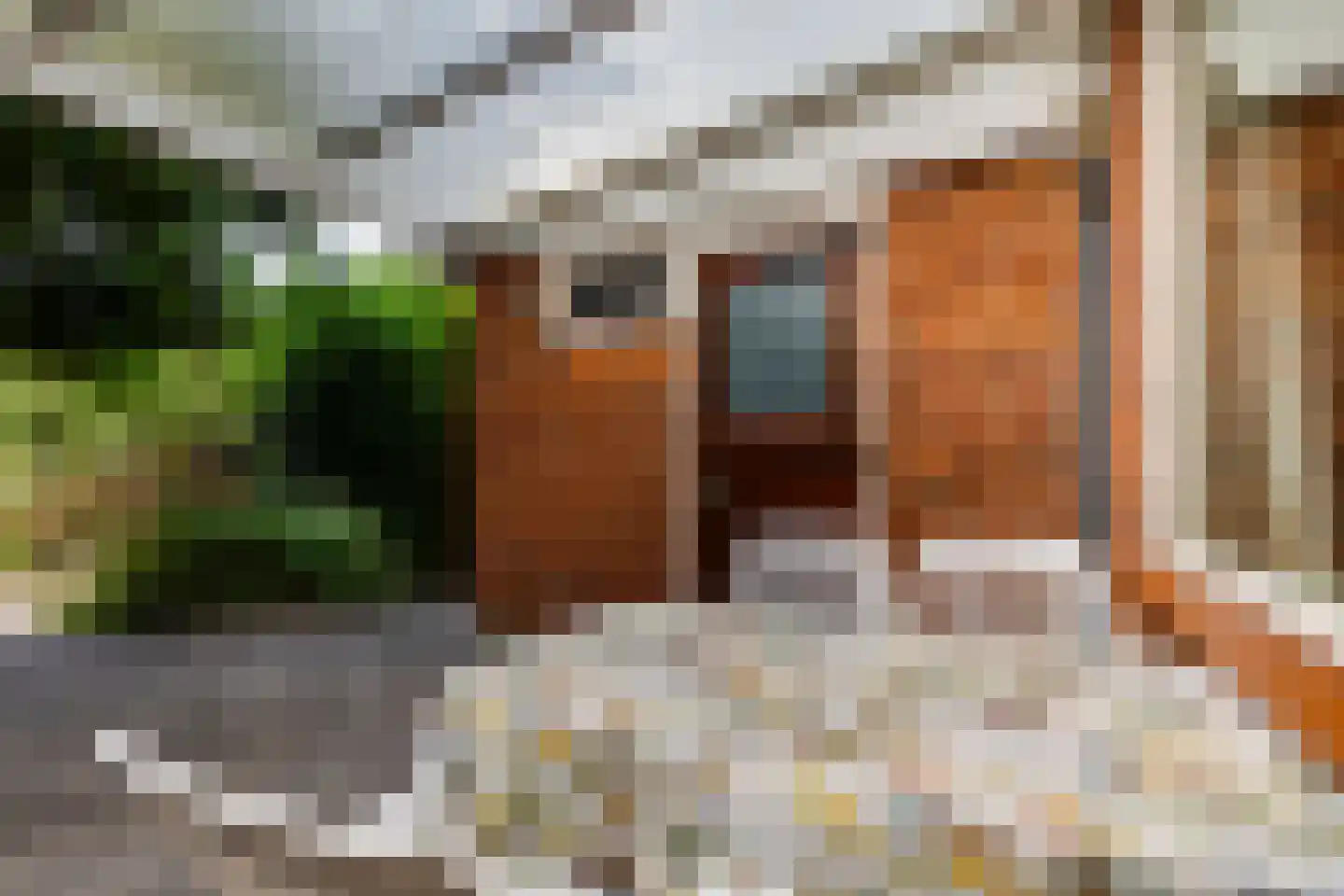 Verdistraat 9 Lichtenvoorde thumbnail 48